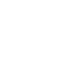 icon_big_idea