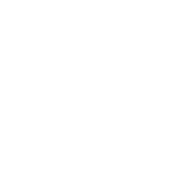 icon_fast_time