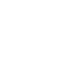 icon_home_moneybag