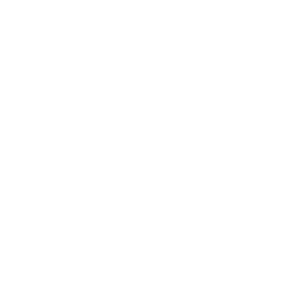 icon_moneybag