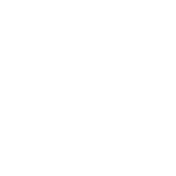 icon_safe